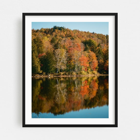 Autumn Color on Tupper Lake 02 - Tupper Lake New York Photography Autumn Scenic Landscape Nature Forest Wilderness Woodland Black Framed Wall Art Print 11 x 14 inches