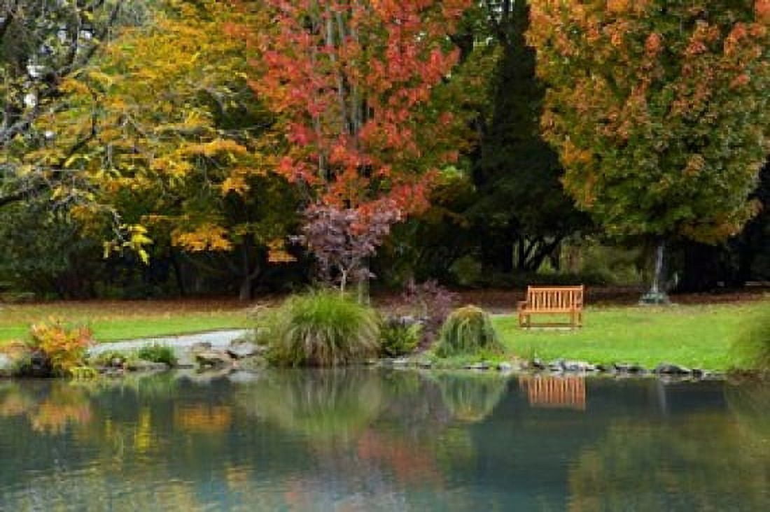 Autumn Color in Hagley Park Christchurch Canterbury New Zealand Canvas Art - David Wall DanitaDelimont (29 x 19)