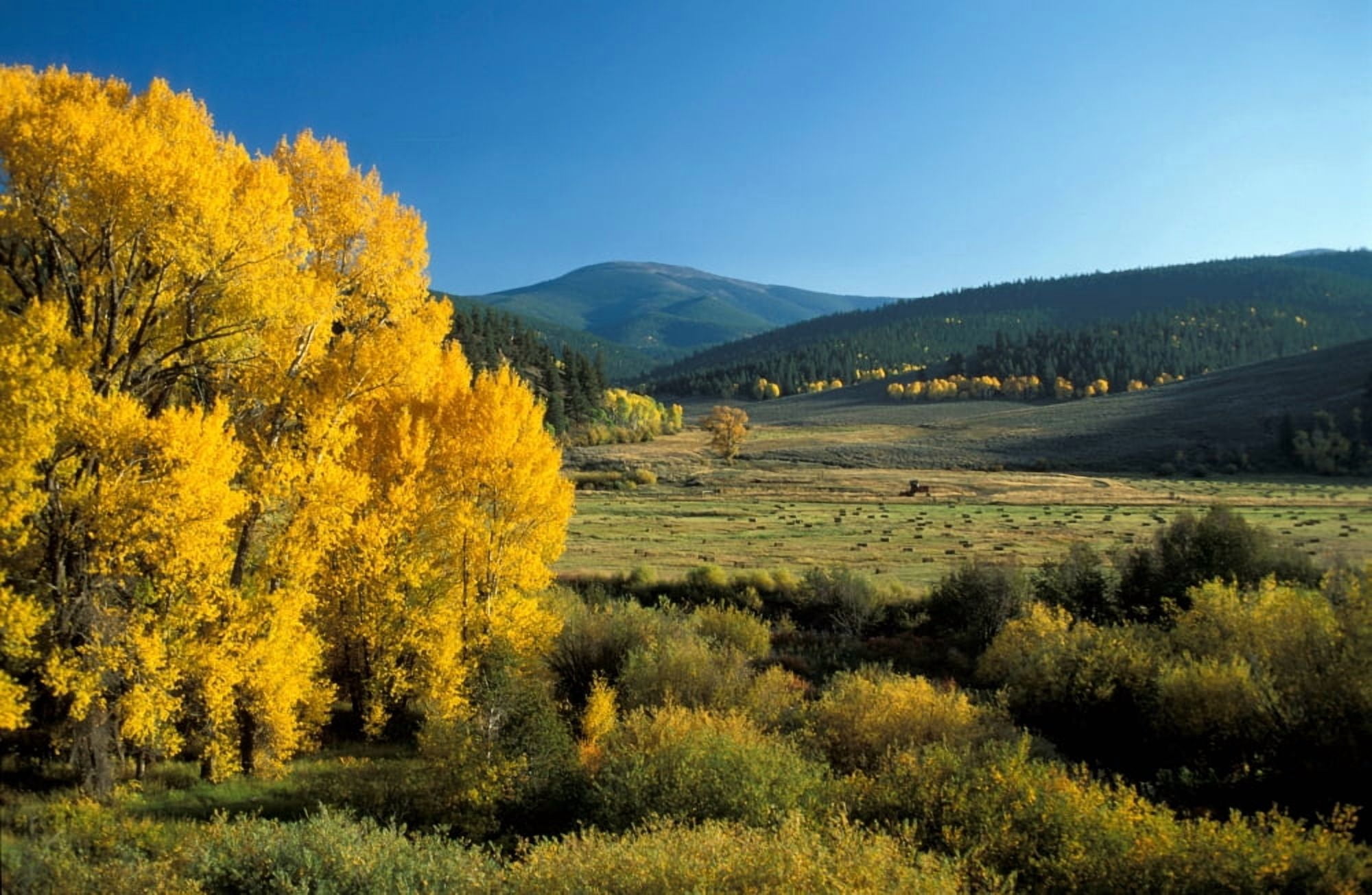 Autumn Colorado USA Canvas Art - Panoramic Images (24 x 36)