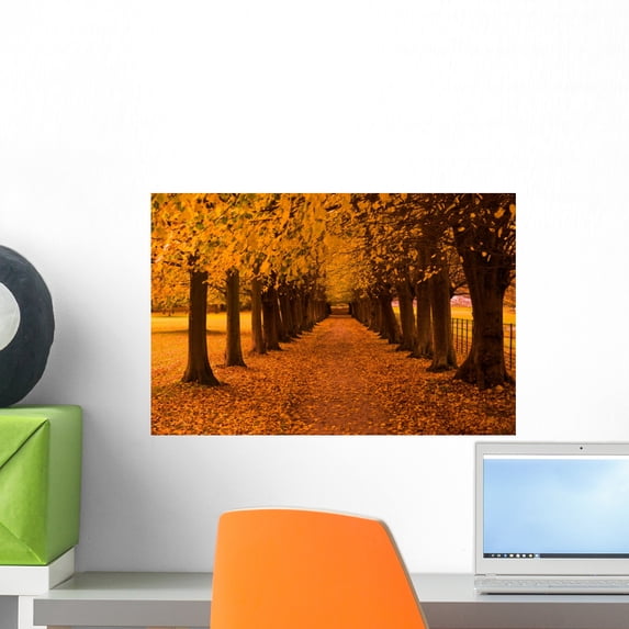 Autumn Colors Forest Wall Mural by Wallmonkeys Peel and Stick Graphic (18 in W x 12 in H) WM202944