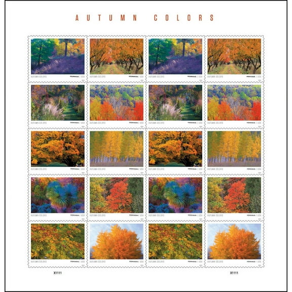 Autumn Colors Forever USPS Postage Stamp 5 Sheets of 20 US First Class Celebration Announcement Wedding Fall Holiday (100 Stamps)