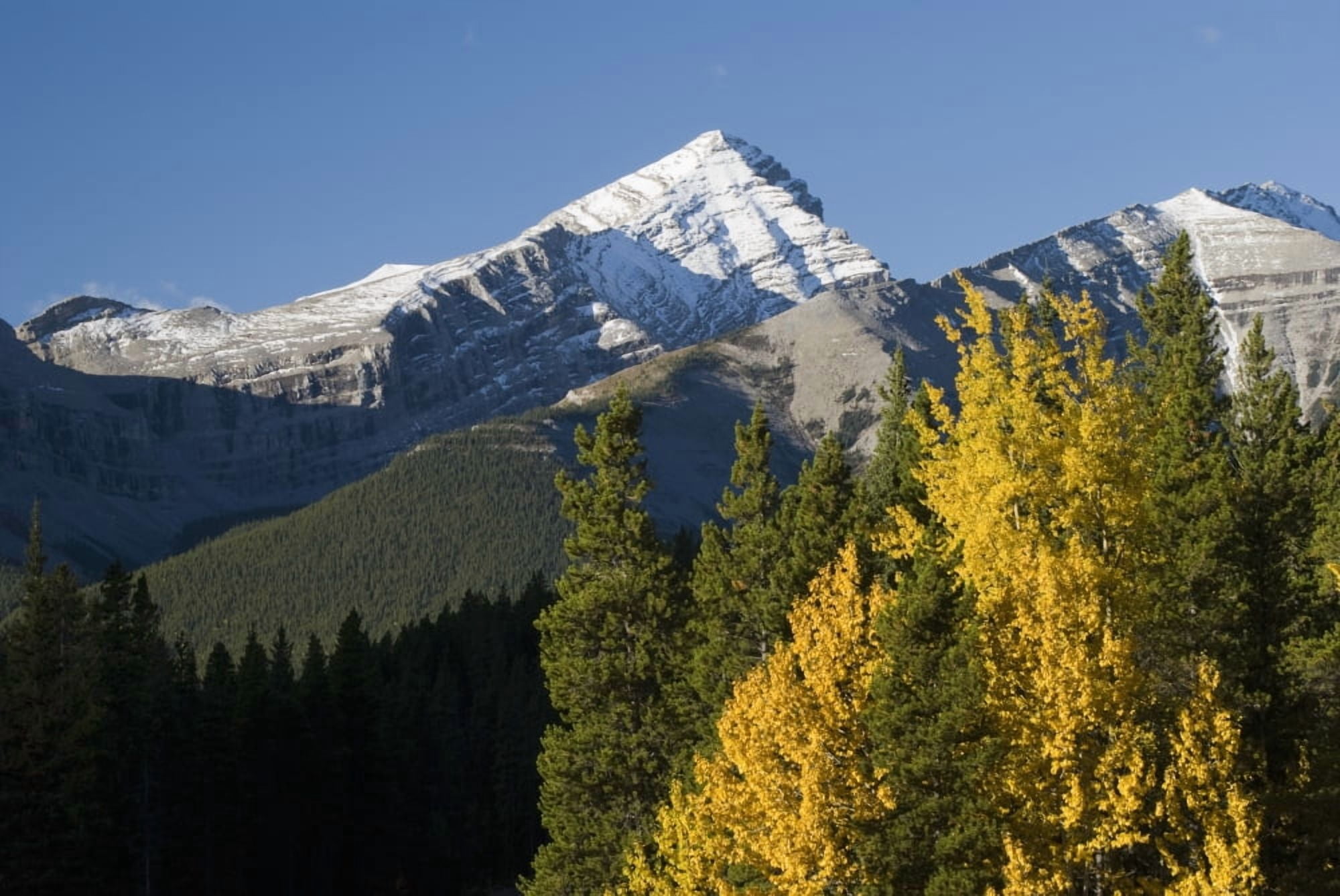 Autumn Colors In The Rocky Mountains Alberta Canada Canvas Art - Philippe Widling Design Pics (38 x 24)
