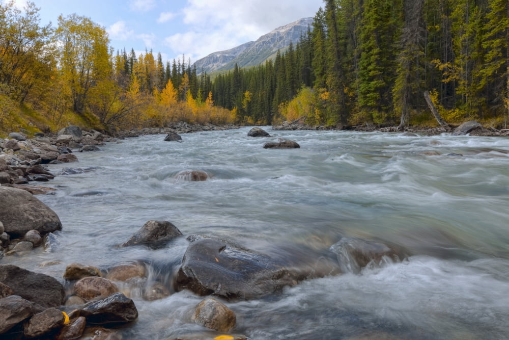 Autumn Colors Over Splashing Maligne River Jasper National Park Alberta Canvas Art - Dan Jurak Design Pics (34 x 22)