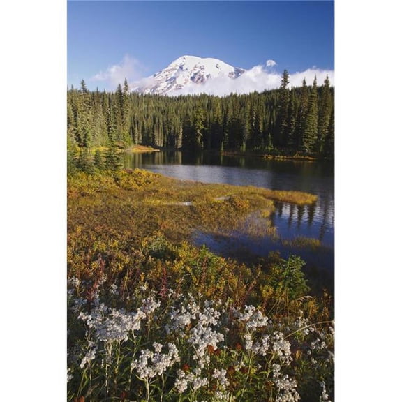 Autumn Colors At Reflection Lake & Mount Rainier In The Background In Mt. Rainier National Park - Washington, United States of America Poster Print, 12 x 19
