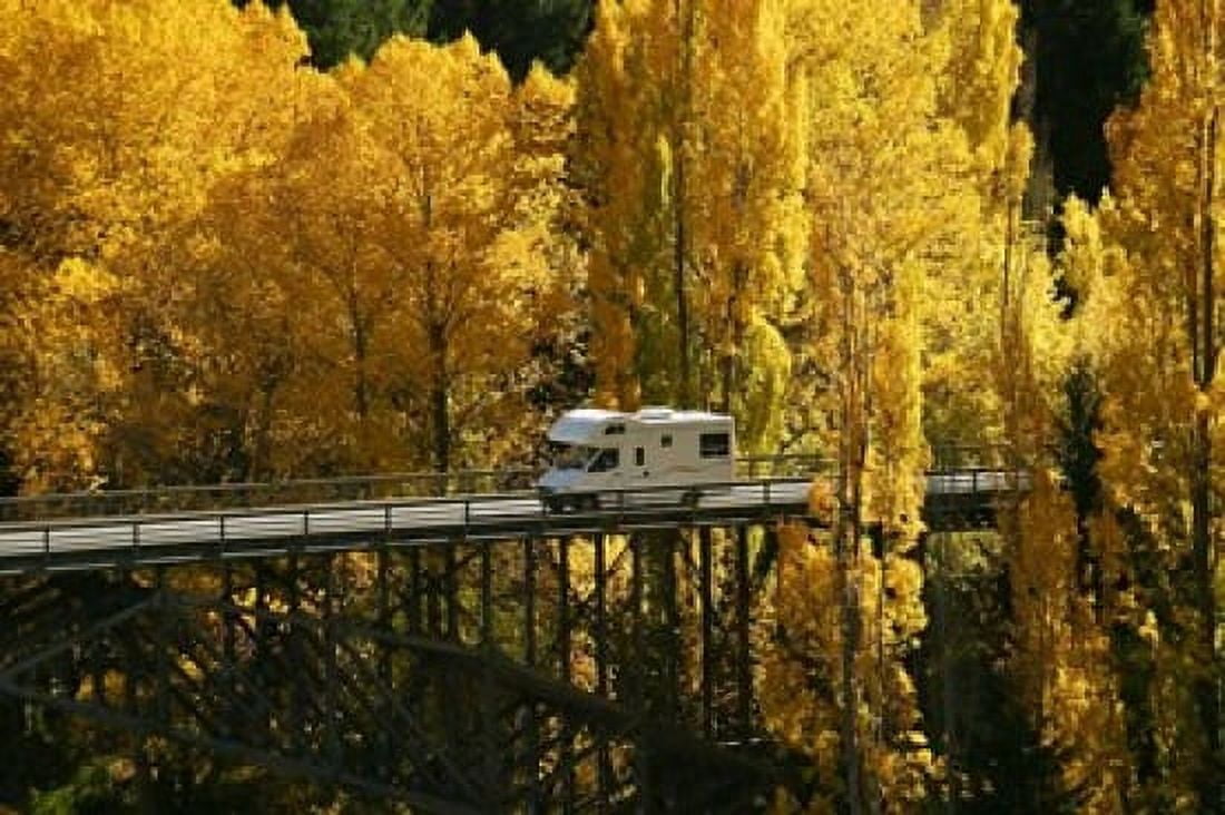 Autumn Colors Victoria Bridge Kawarau Gorge South Island New Zealand Canvas Art - David Wall DanitaDelimont (26 x 18)