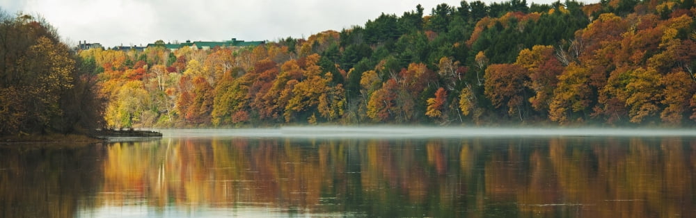 Autumn Coloured Trees Along The Shoreline Of A Lake Maine United States Of America Canvas Art - Brian Guzzetti Design Pics (38 x 12)