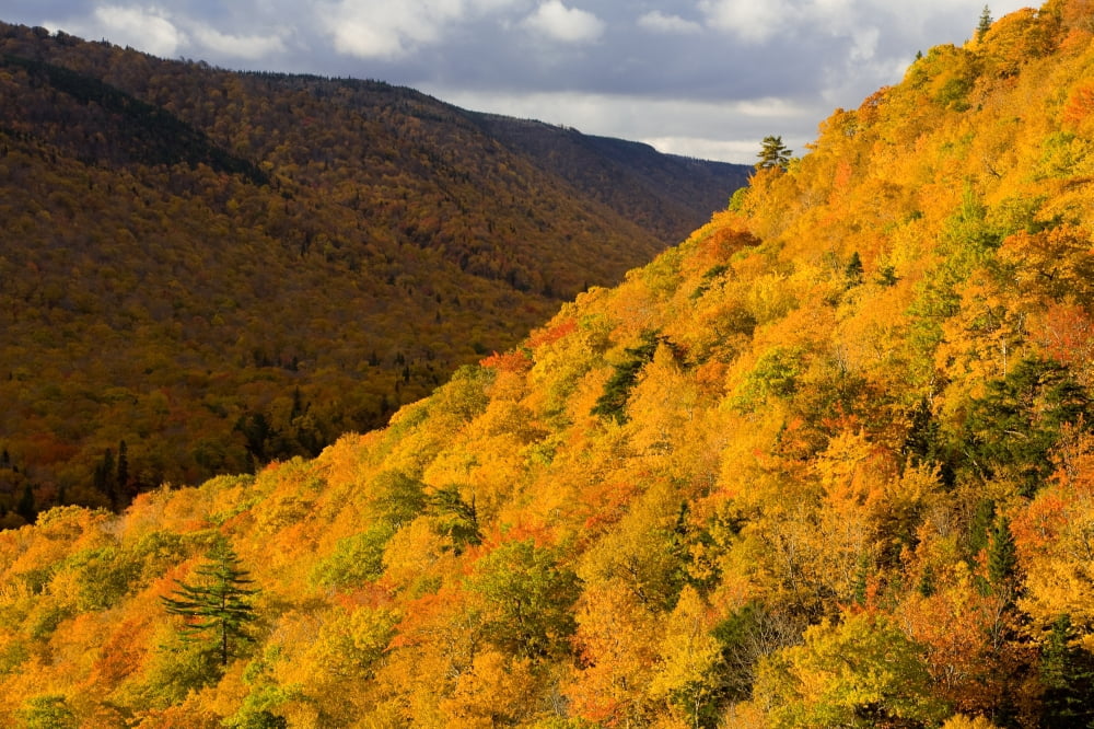 Autumn Colours At North Mountain Look-Off Cape Breton Highlands National Park Nova Scotia Canvas Art - John Sylvester Design Pics (17 x 11)