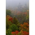 thumbnail image 1 of Autumn Colours In The Mist In Cottage Country; Ontario Canada Poster Print (24 x 36), 1 of 3