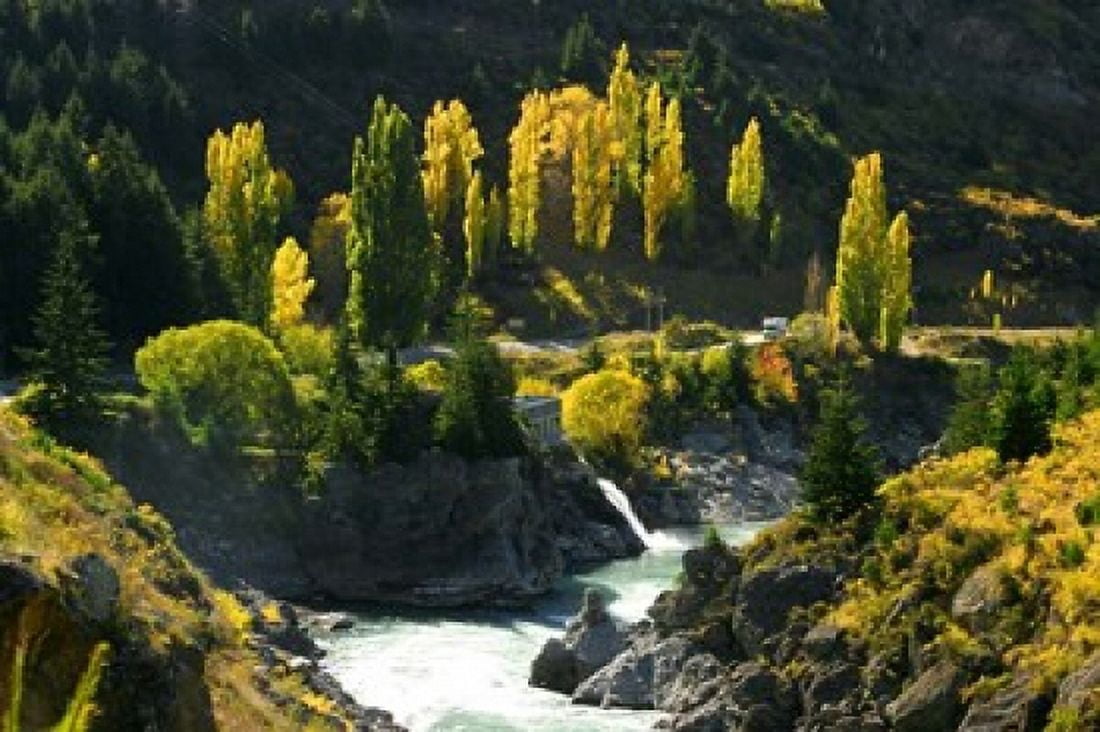 Autumn Colours Kawarau River Kawarau Gorge South Island New Zealand Canvas Art - David Wall DanitaDelimont (26 x 18)