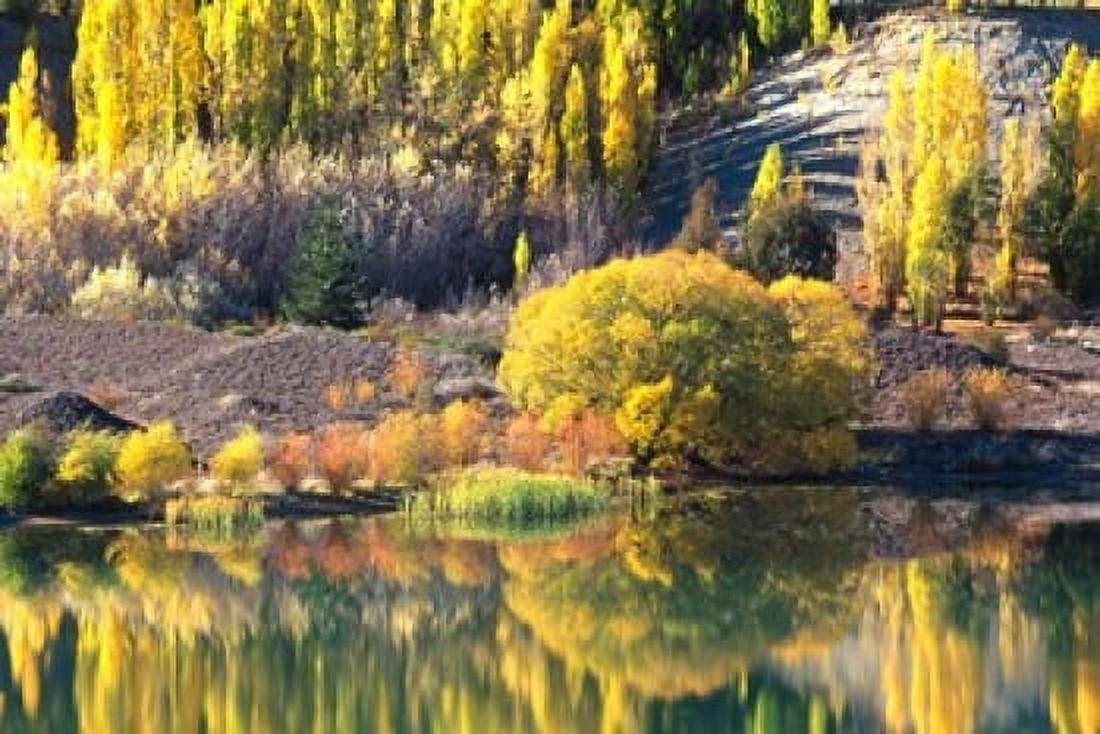 Autumn Colours Lake Dunstan Central Otago New Zealand Canvas Art - David Wall DanitaDelimont (28 x 19)