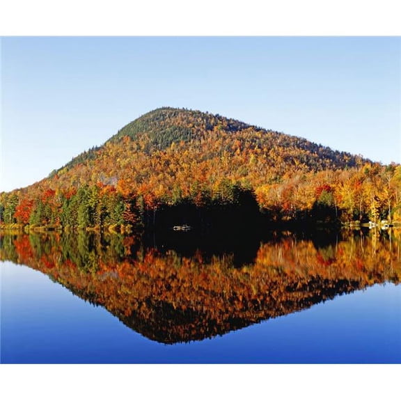 Autumn Colours Reflected in Water Eastern Townships Quebec Canada Poster Print by David Chapman - 32 x 26 - Large