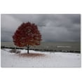 thumbnail image 1 of "Autumn Contrast on the Lake" Canvas Art by Kurt Shaffer, 1 of 3