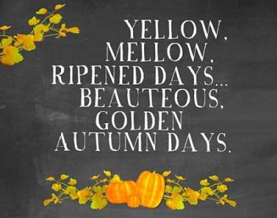 Autumn Days Canvas Art - Amy Cummings (22 x 28)