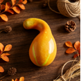 thumbnail image 1 of Autumn Decor, Lifelike Artificial Pumpkin Ornament, Fake Small Pumpkin for Thanksgiving Harvest Table Mantel Indoor Home Decor, 1 of 5