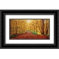 thumbnail image 1 of Autumn Dream 2x Matted 24x16 Black Ornate Framed Art Print by Forsythe, Graham, 1 of 2