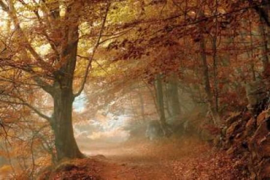 Autumn Dream Canvas Art - Toni Vila (12 x 18)