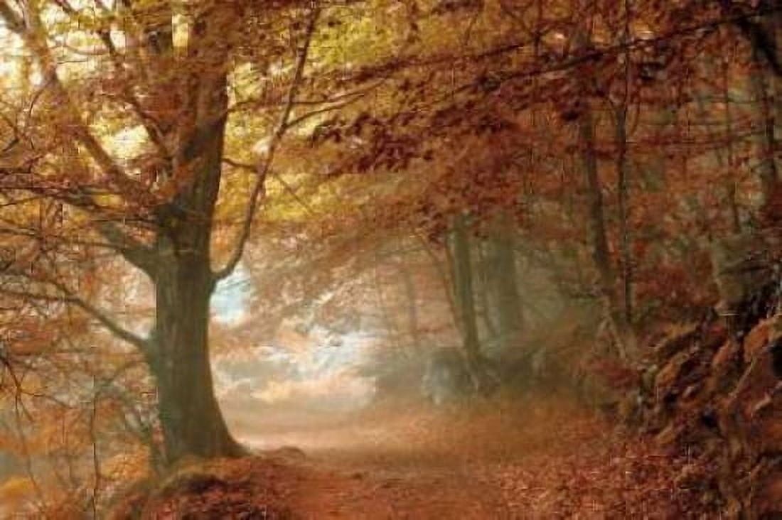Autumn Dream Canvas Art - Toni Vila (24 x 36)