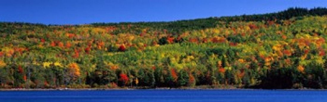 Autumn Eagle Lake Acadia National Park Maine USA Canvas Art - Panoramic Images (18 x 6)