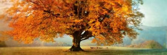 Autumn Emotion Canvas Art - Irene Weisz (8 x 24)