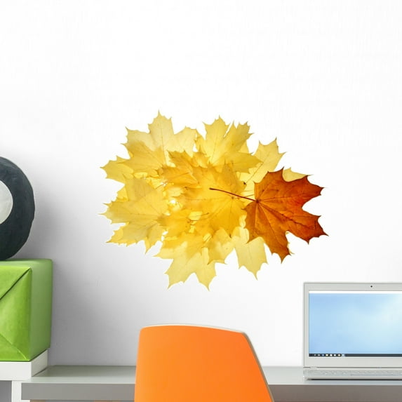 Autumn Fall Leaves Wall Mural by Wallmonkeys Peel and Stick Graphic (18 in W x 14 in H) WM314303