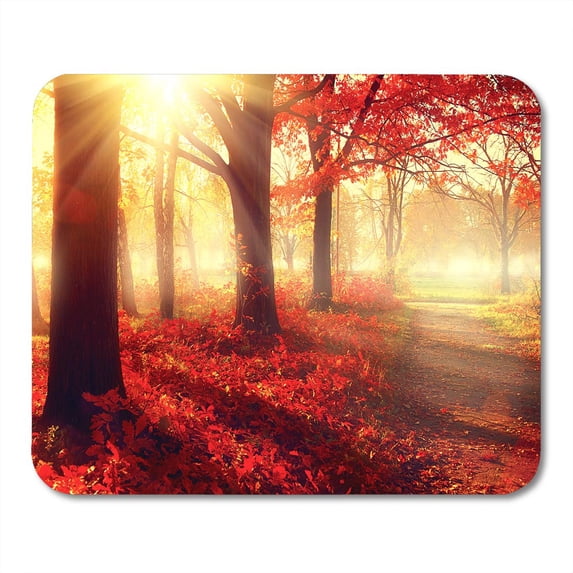 Autumn Fall Scene Beautiful Autumnal Park Beauty Nature Trees and Leaves Foggy Forest in Sunlight Rays Mousepad Mouse Pad Mouse Mat 9x10 inch