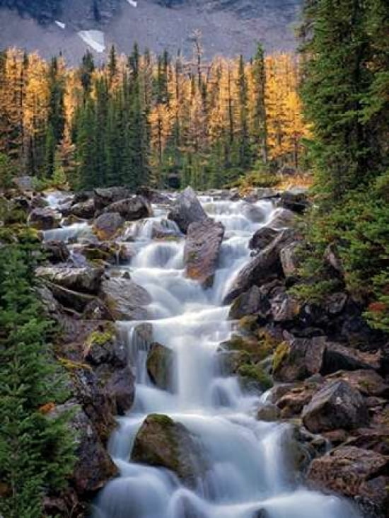 Autumn Falls II Canvas Art - Dennis Frates (18 x 24)