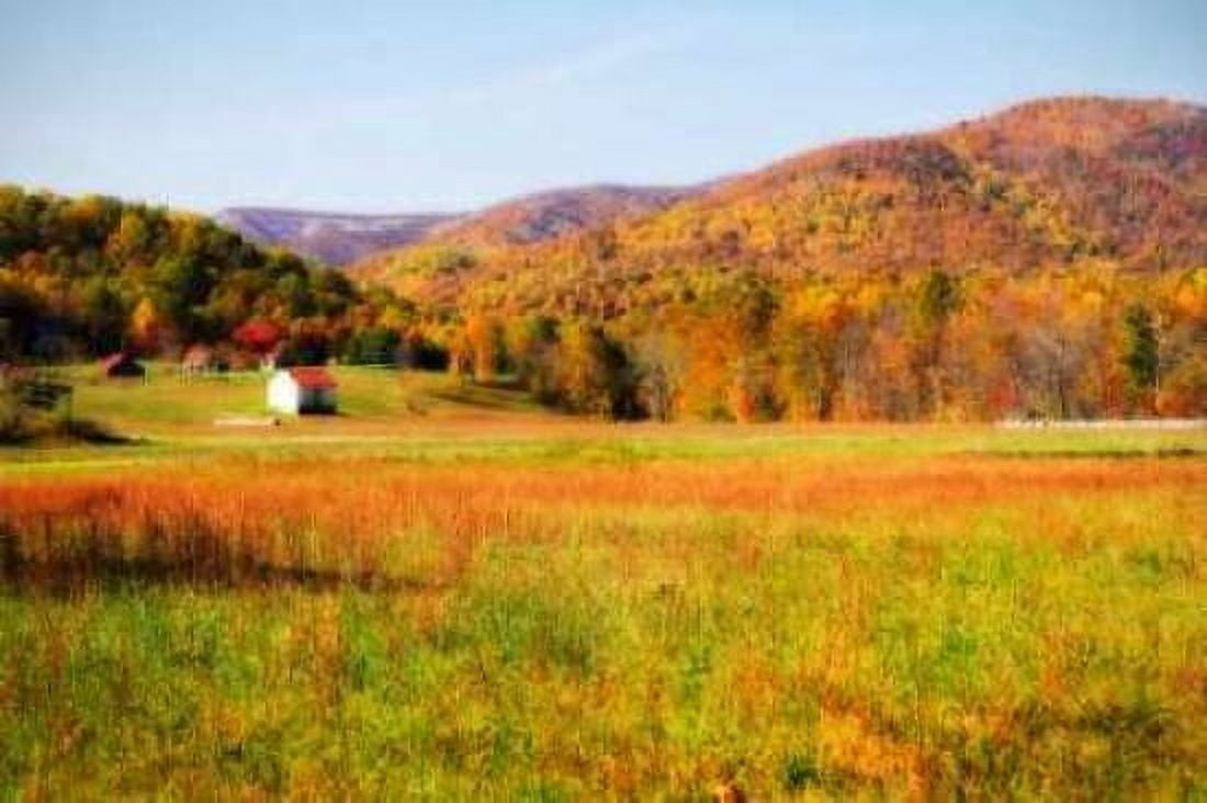 Autumn Fields I Canvas Art - Alan Hausenflock (20 x 28)