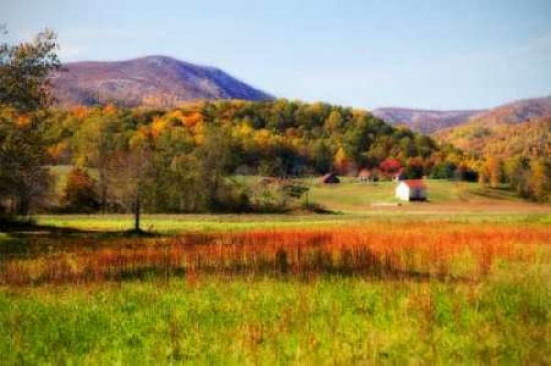 Autumn Fields II Canvas Art - Alan Hausenflock (20 x 28)