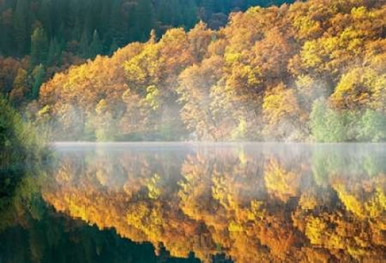Autumn Fog Canvas Art - Dennis Frates (20 x 28)