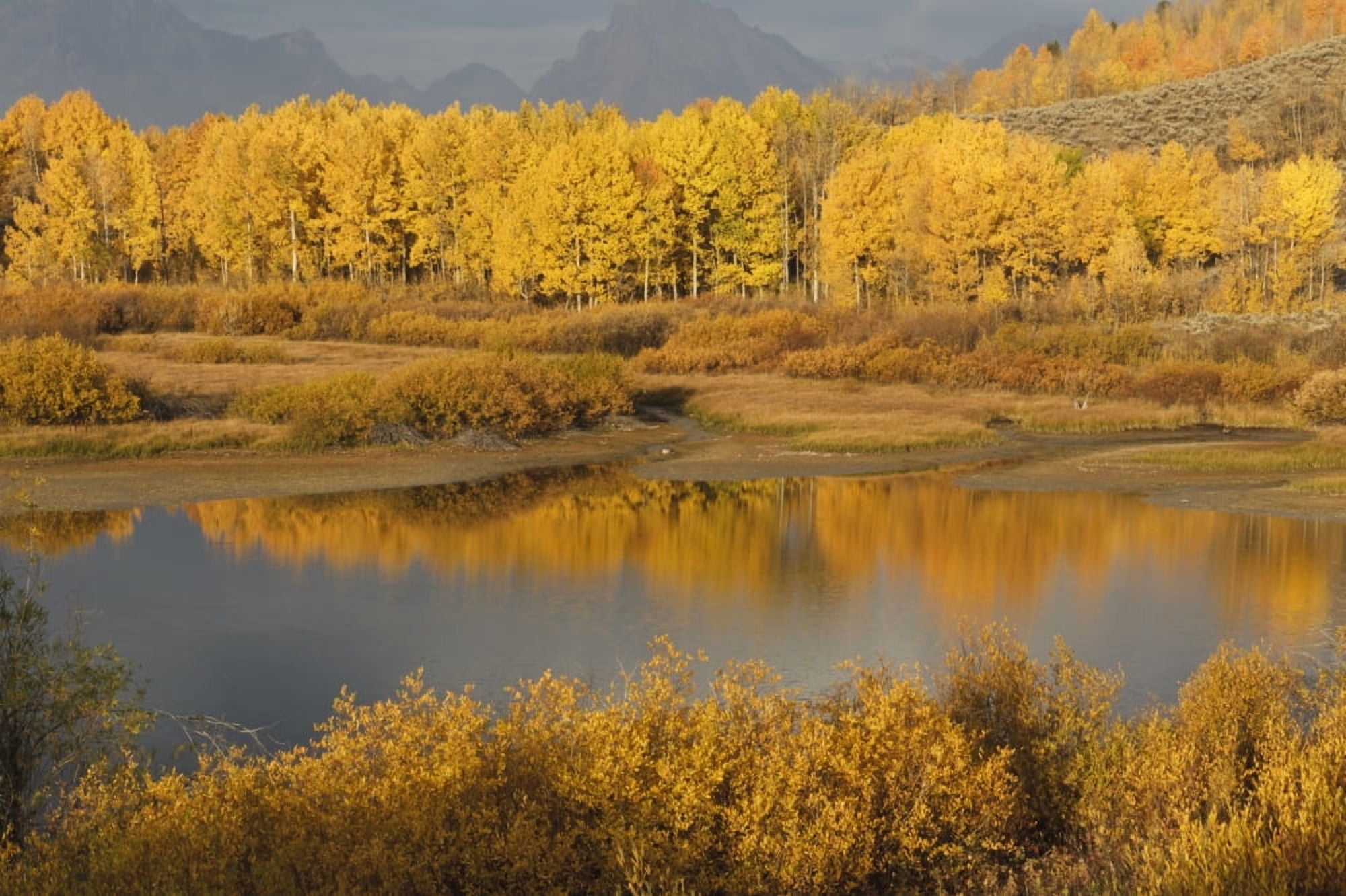 Autumn Foliage Surrounds A Pool In The Snake River Wyoming United States Of America Canvas Art - David Ponton Design Pics (19 x 12)
