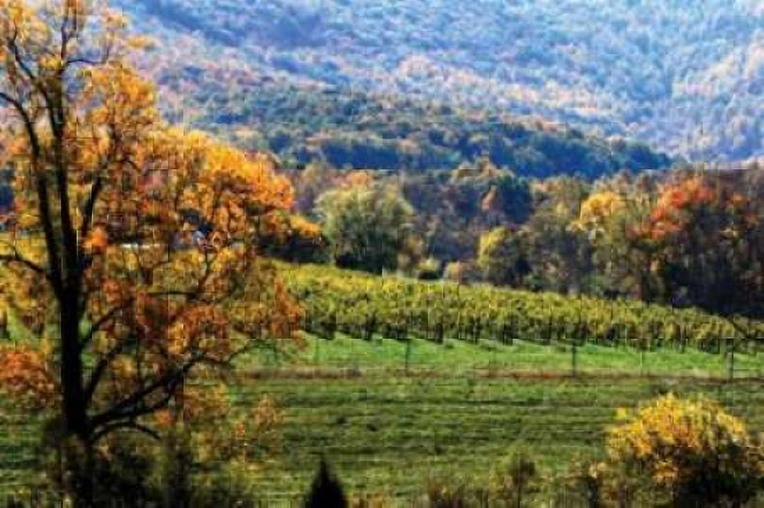 Autumn Foothills II Canvas Art - Alan Hausenflock (20 x 28)