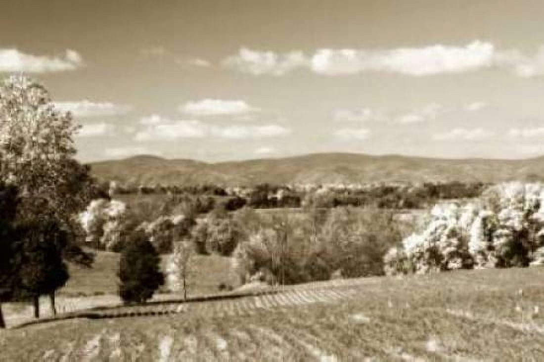Autumn Foothills V Canvas Art - Alan Hausenflock (20 x 28)