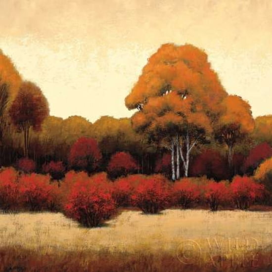 Autumn Forest I Canvas Art - James Wiens (24 x 24)
