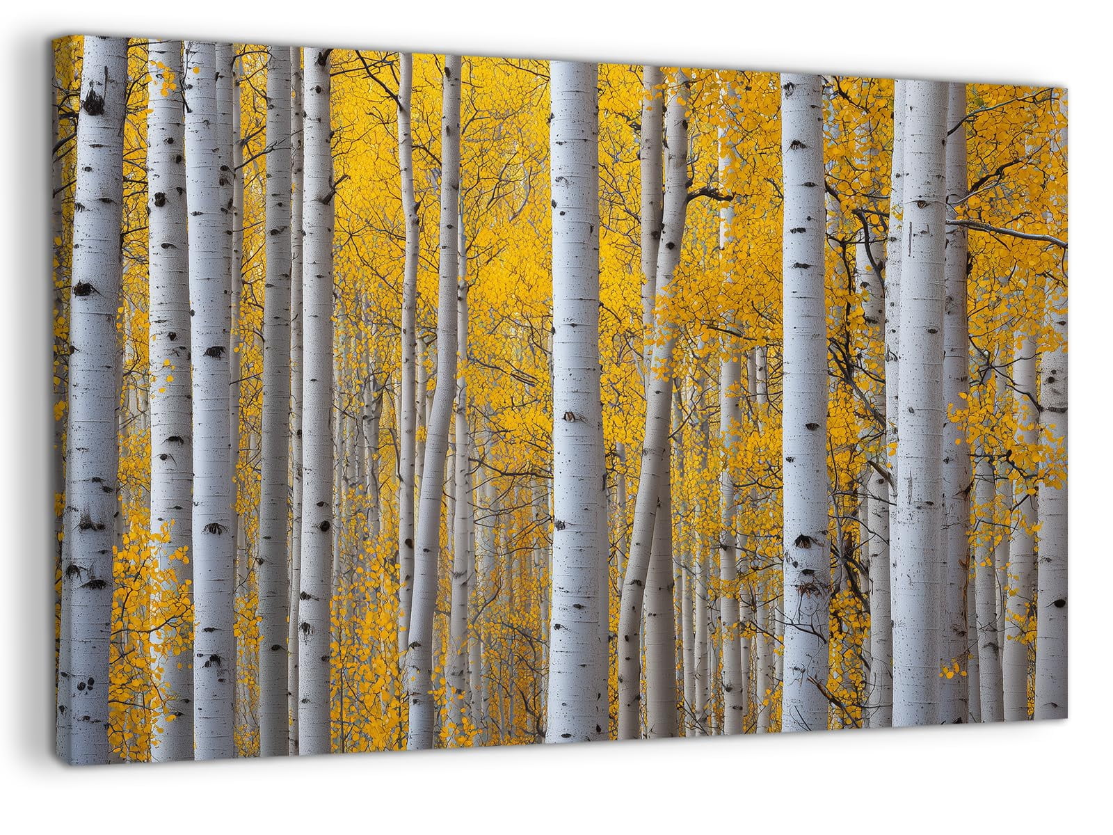 Autumn Forest Landscape Canvas Wall Art, Fall Nature Scenery Picture ...