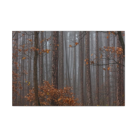 Autumn Forest Misty Orange Leave Nature Wilderness Photography Canvas Wall Art for Home Decor Ready-to-Hang