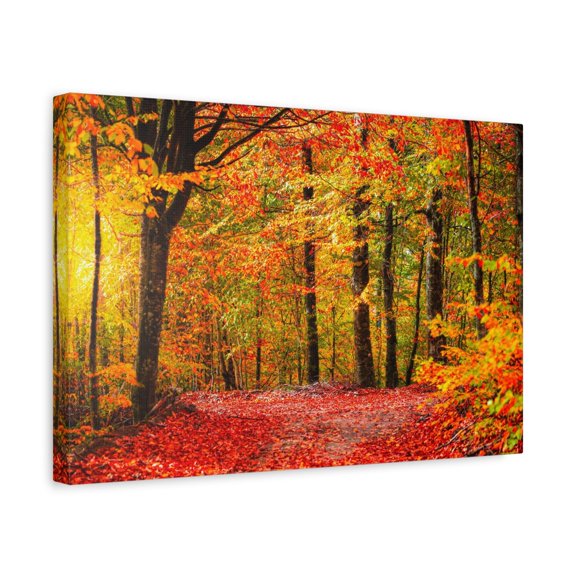 Autumn Forest Orange Leave Tree Nature Wilderness Photography Canvas Wall Art for Home Decor Ready-to-Hang