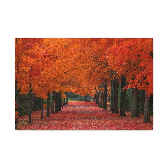 Autumn Forest Orange Leave Tree Trail Nature Wilderness Photography Canvas Wall Art for Home Decor Ready-to-Hang