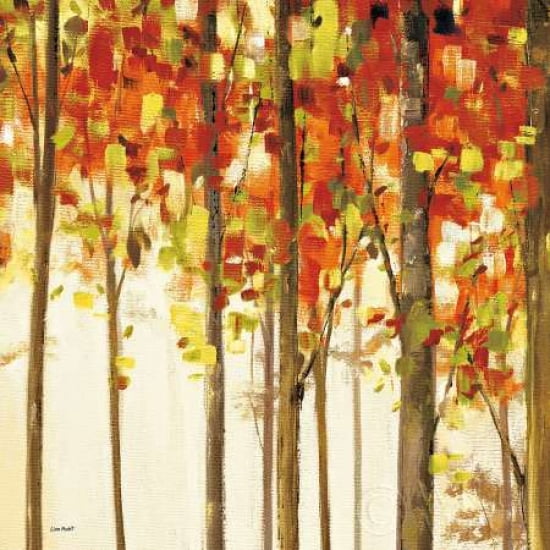 Autumn Forest Study II Canvas Art - Lisa Audit (24 x 24)