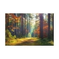 thumbnail image 1 of Autumn Forest Sunlight Shine Orange Tree Nature Wilderness Photography Canvas Wall Art for Home Decor Ready-to-Hang, 1 of 18