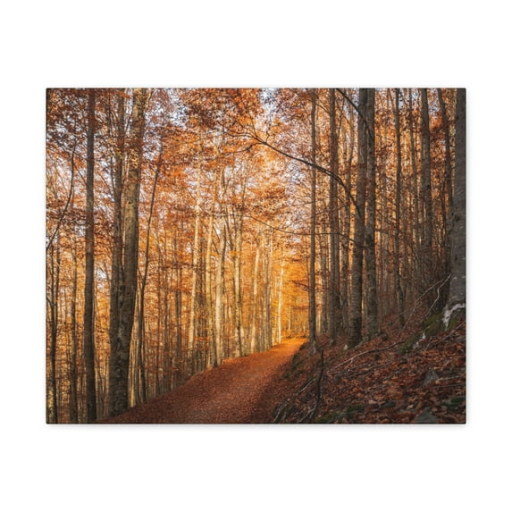 Autumn Forest Tree Trail With Yellow Leaves Nature Wilderness Photography Canvas Wall Art for Home Decor Ready-to-Hang