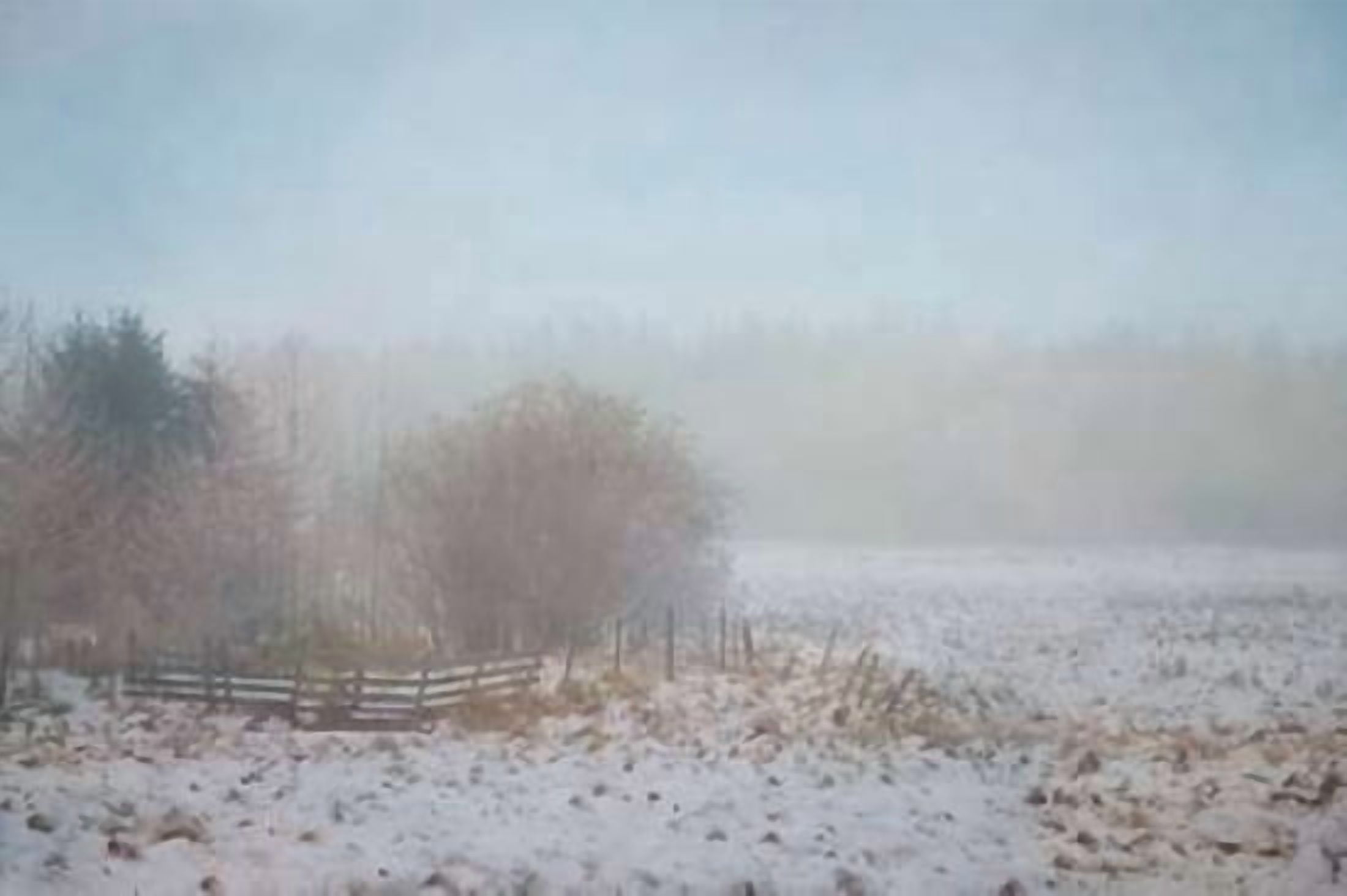 Autumn Freeze Canvas Art - Roberta Murray (24 x 36)
