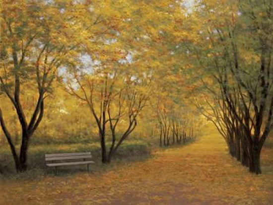 Autumn Gold Canvas Art - Diane Romanello (22 x 28)