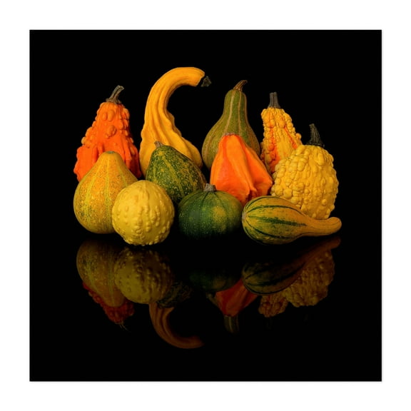 Autumn Gourds - Photography Autumn Halloween Rustic Unframed Wall Art Print 6 x 6 inches