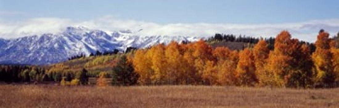 Autumn Grand Teton National Park WY Canvas Art - Panoramic Images (18 x 6)