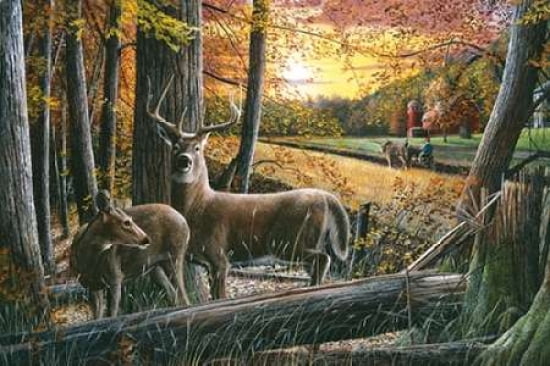 Autumn Harvest Canvas Art - Kevin Daniel (12 x 18)