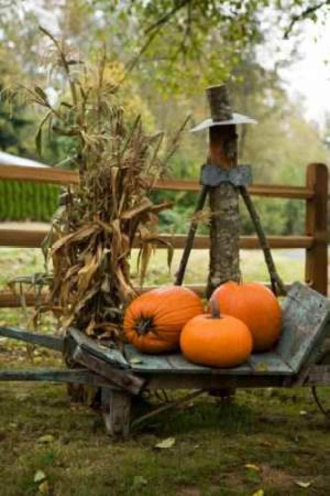 Autumn Harvest II Canvas Art - Philip Clayton-Thompson (24 x 36)