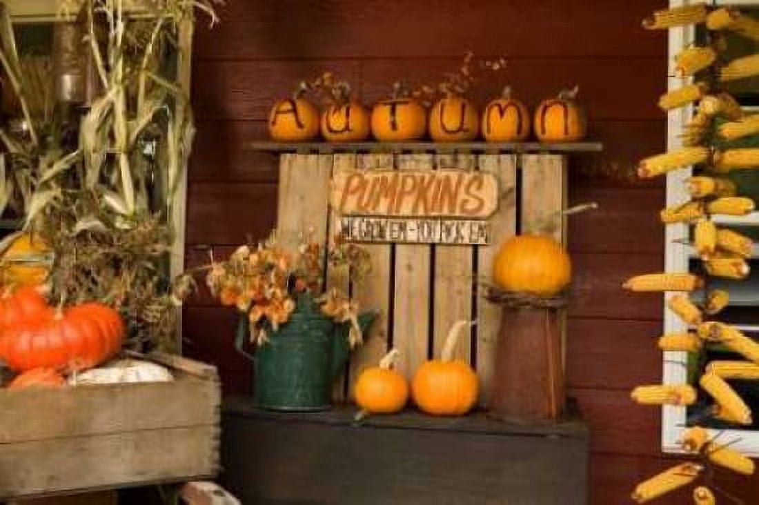 Autumn Harvest III Canvas Art - Philip Clayton-Thompson (12 x 18)