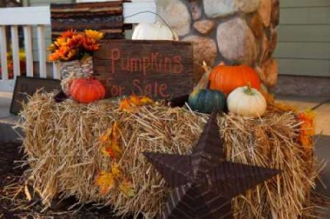 Autumn Harvest IV Canvas Art - Philip Clayton-Thompson (12 x 18)