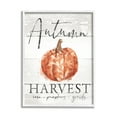 thumbnail image 1 of Autumn Harvest Seasonal Rustic Patterned Pumpkin Sign Botanical & Floral Graphic Art Framed Art Print Wall Art, 1 of 7