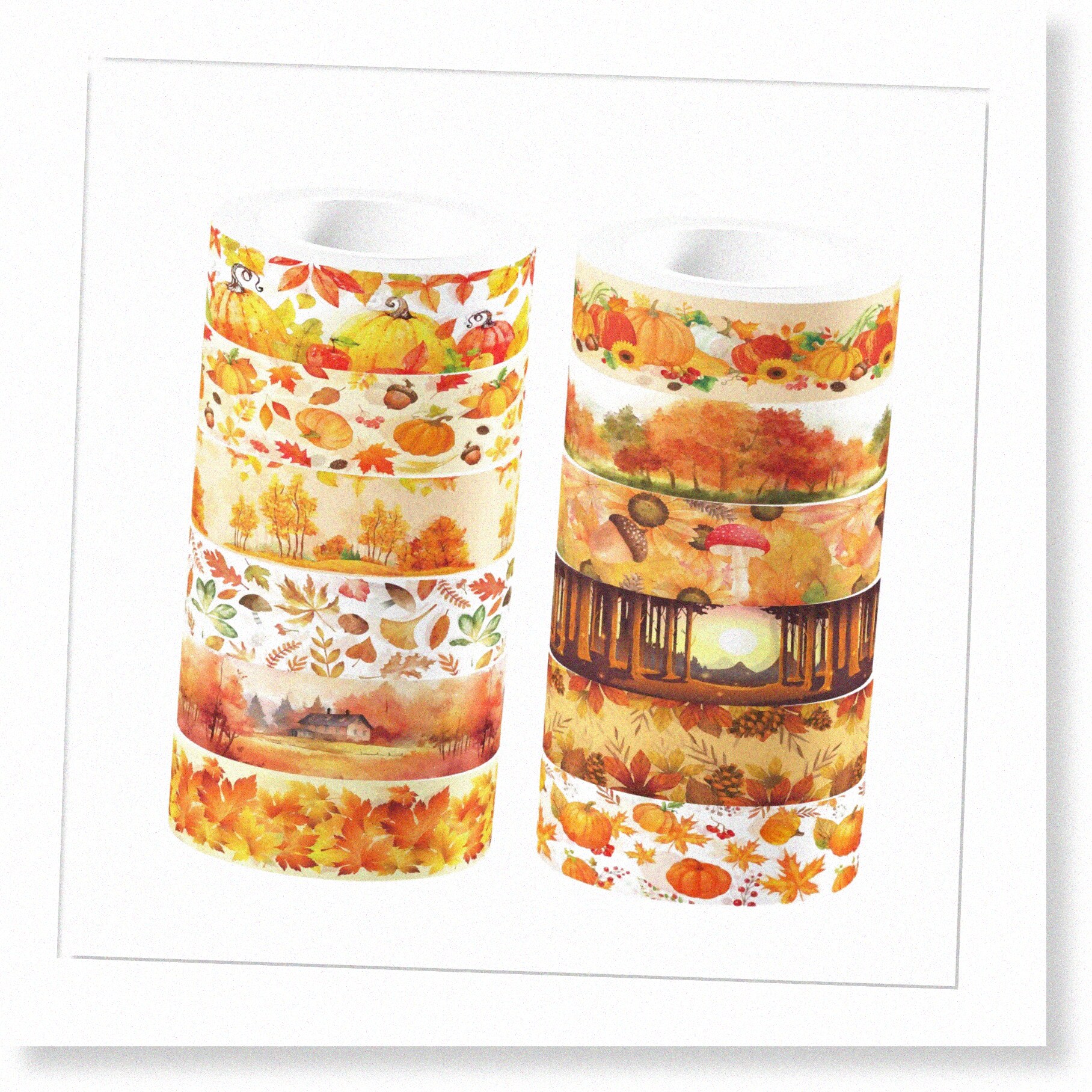 Whaline 12-Roll Fall Washi Tape Set – Pumpkin, Leaves, Sunflower, Plaid Patterns, 0.6 Inch X 16.4 Ft Each